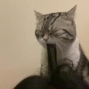 天天操夜夜操狠狠操
